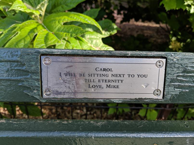 I saw this bench in Central Park