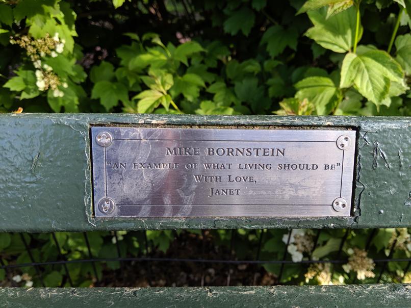 I saw this bench in Central Park