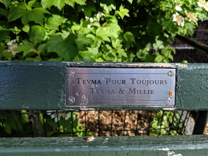 I saw this bench in Central Park