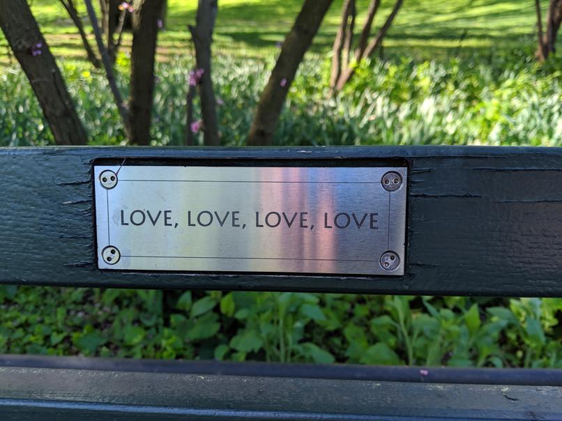 I saw this bench in Central Park