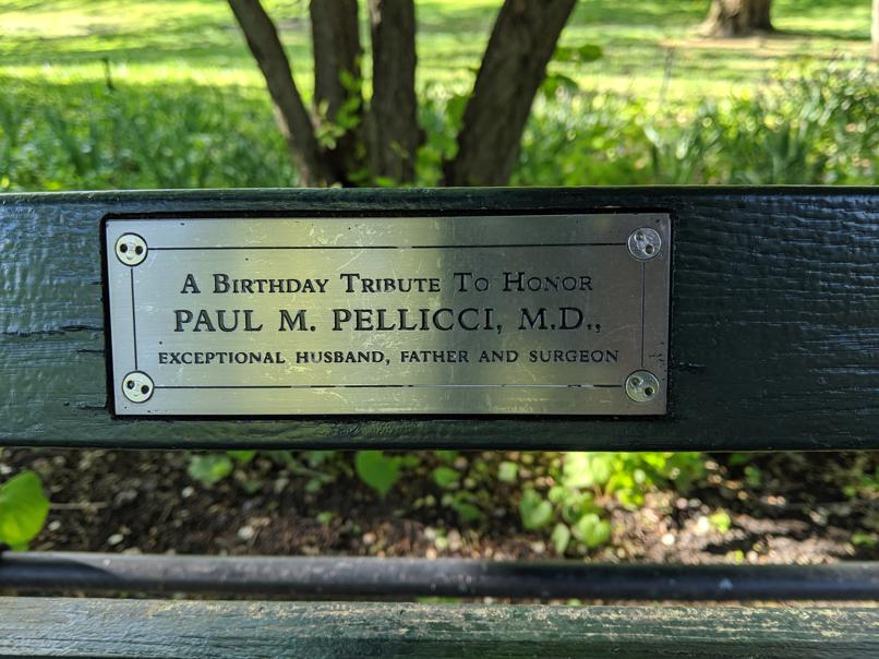 I saw this bench in Central Park