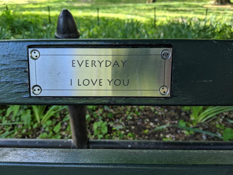 I saw this bench in Central Park