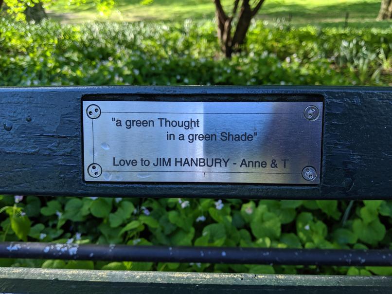 I saw this bench in Central Park