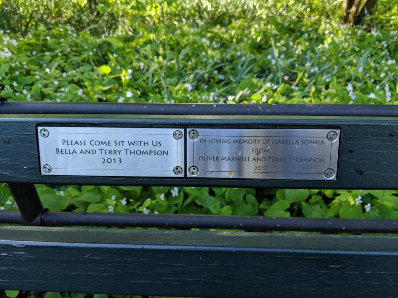 I saw this bench in Central Park