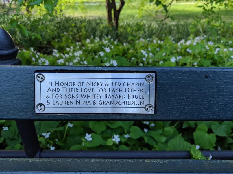 I saw this bench in Central Park