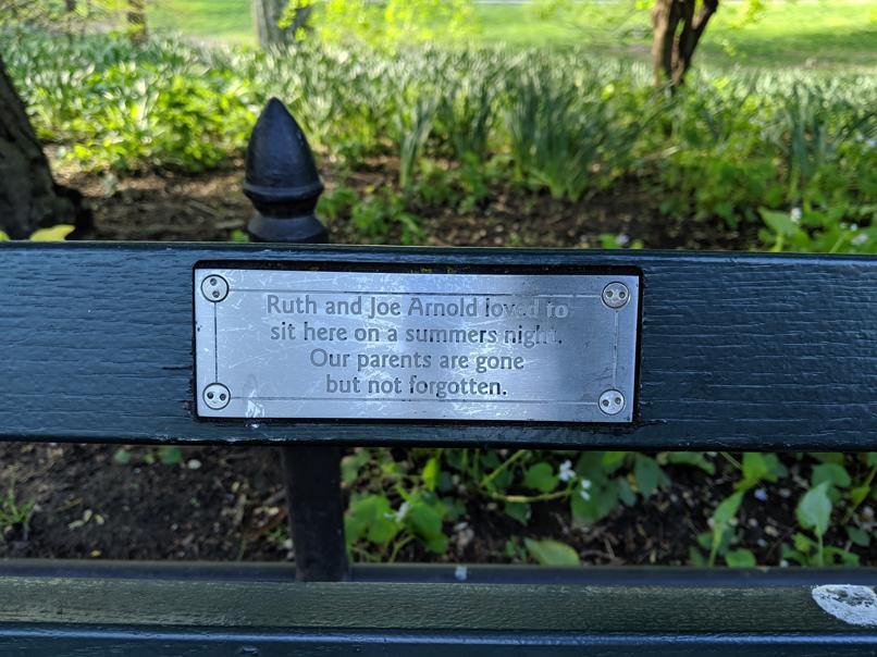 I saw this bench in Central Park