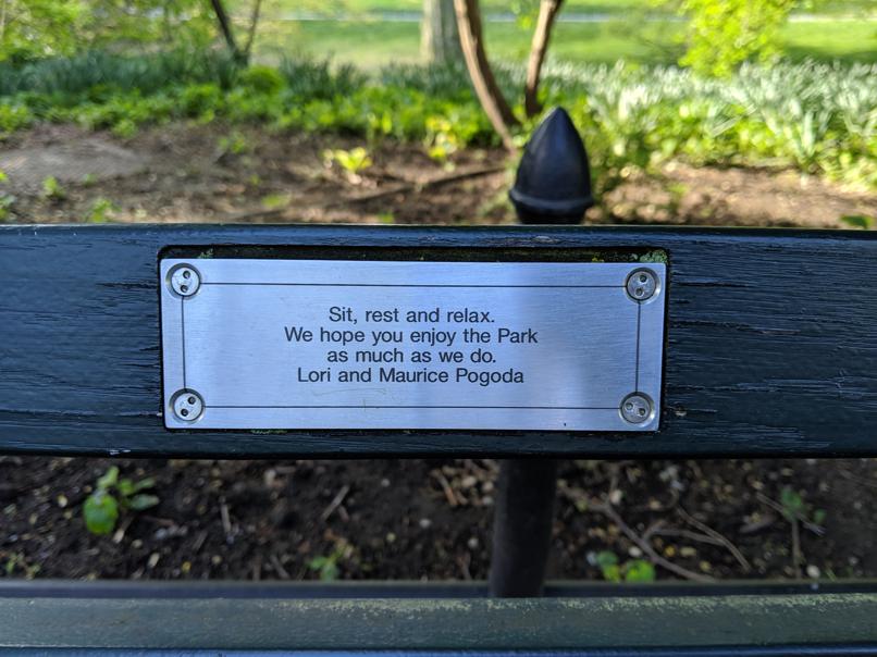 I saw this bench in Central Park