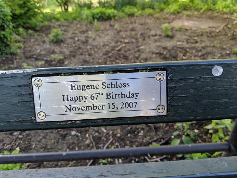 I saw this bench in Central Park