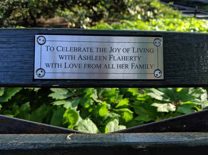 I saw this bench in Central Park