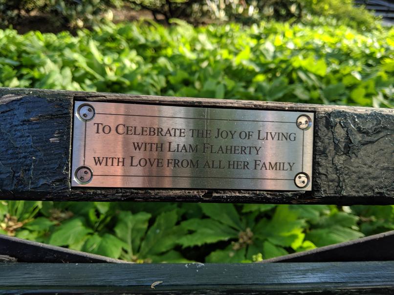 I saw this bench in Central Park