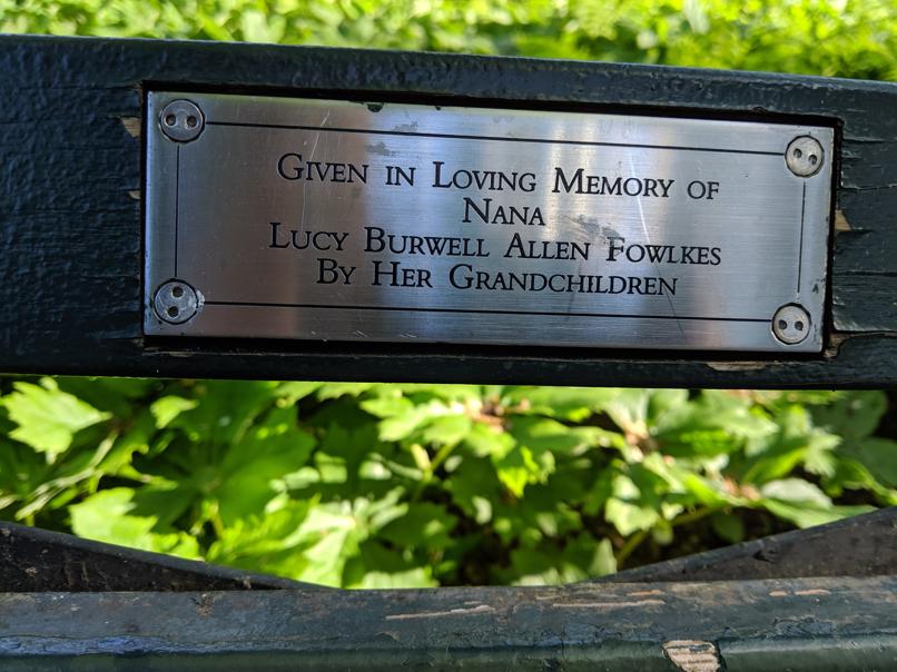 I saw this bench in Central Park