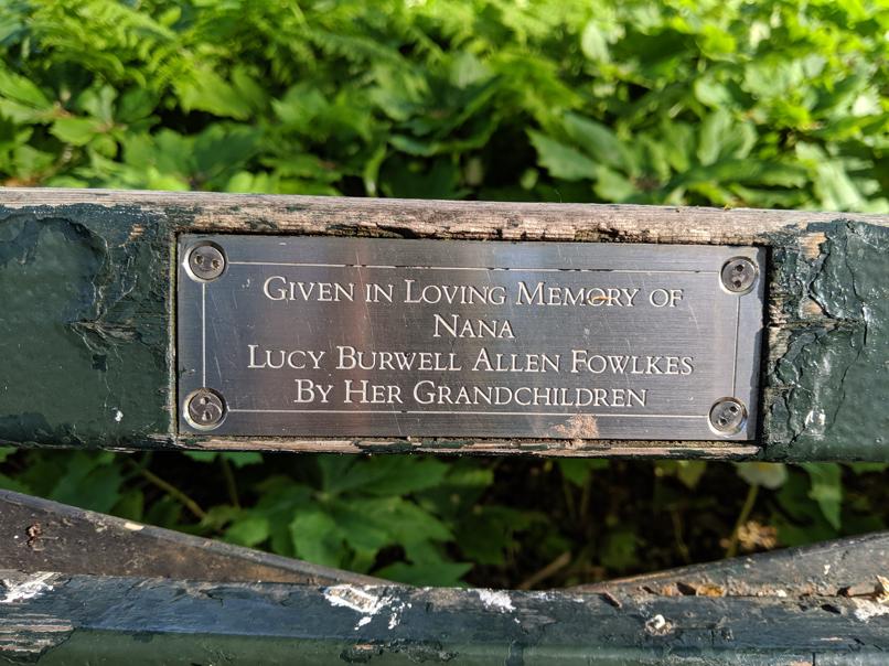 I saw this bench in Central Park