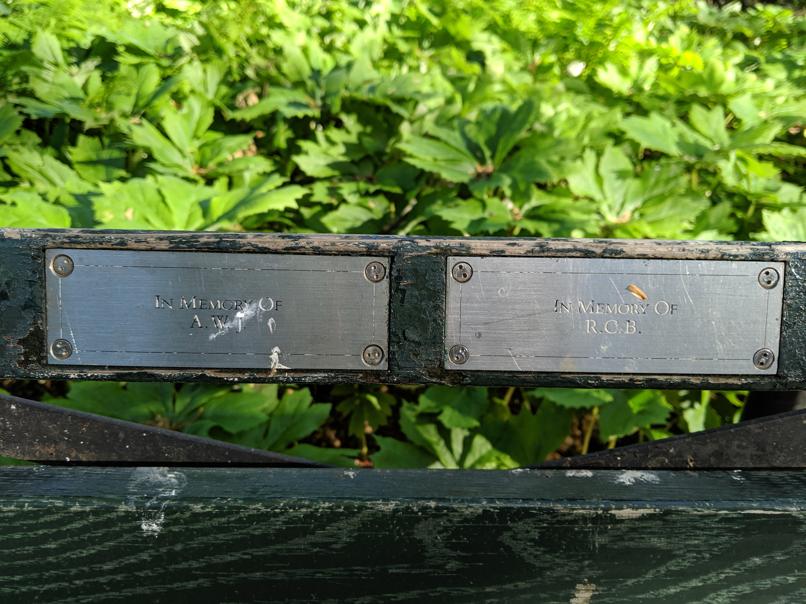 I saw this bench in Central Park