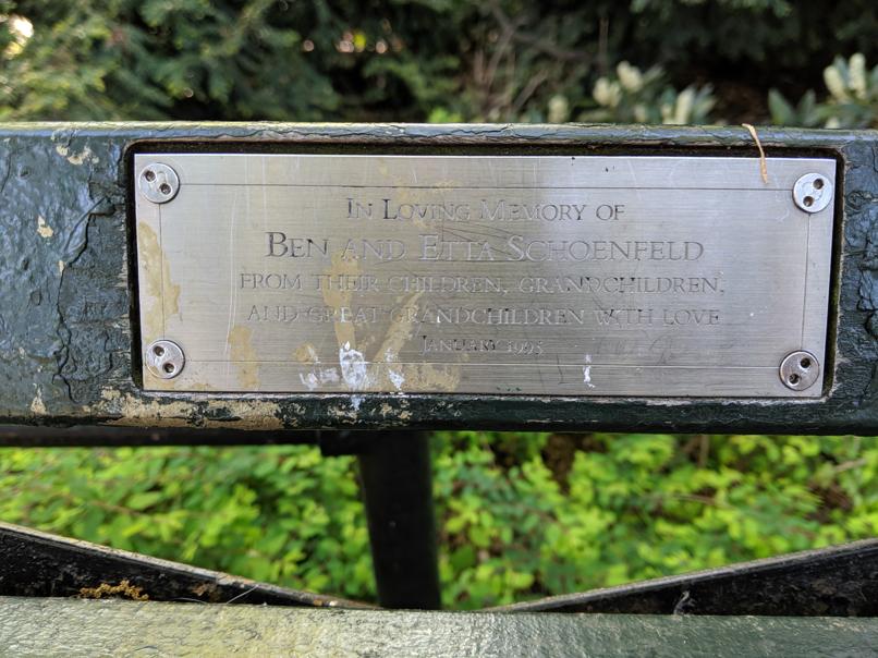 I saw this bench in Central Park