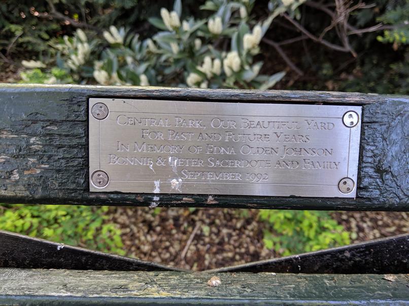 I saw this bench in Central Park