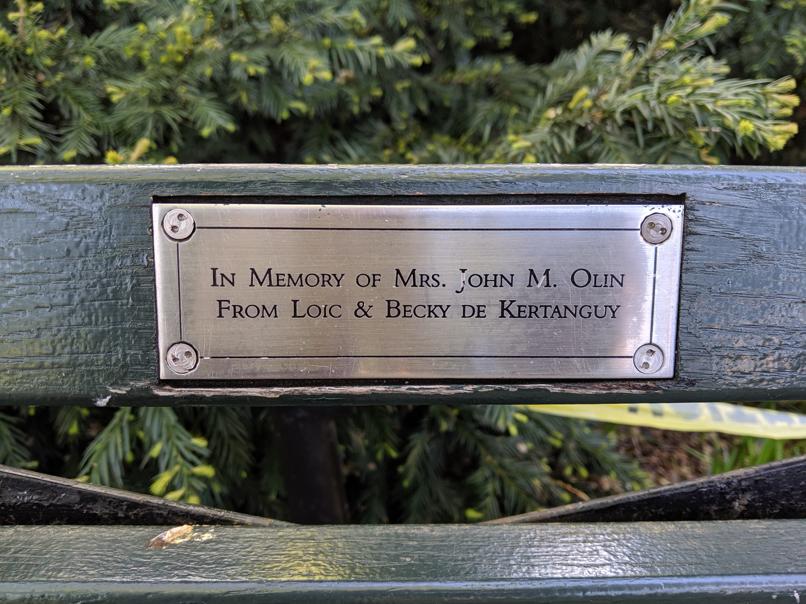 I saw this bench in Central Park