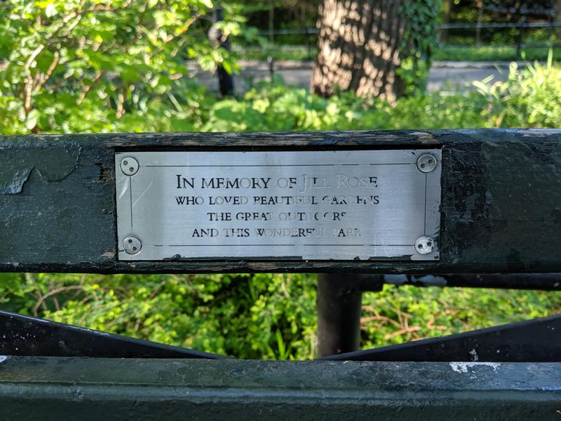 I saw this bench in Central Park