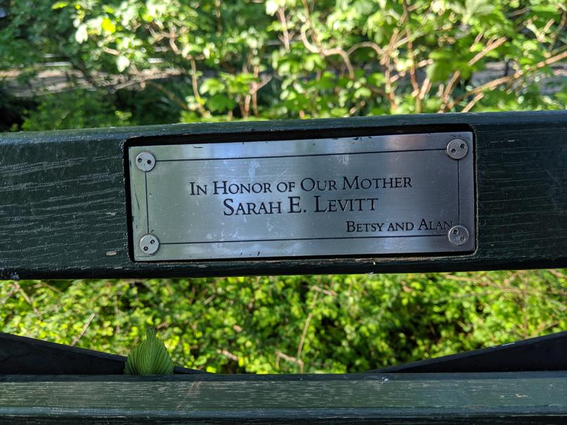 I saw this bench in Central Park