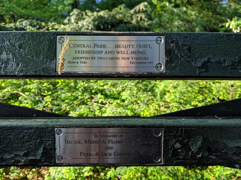 I saw this bench in Central Park