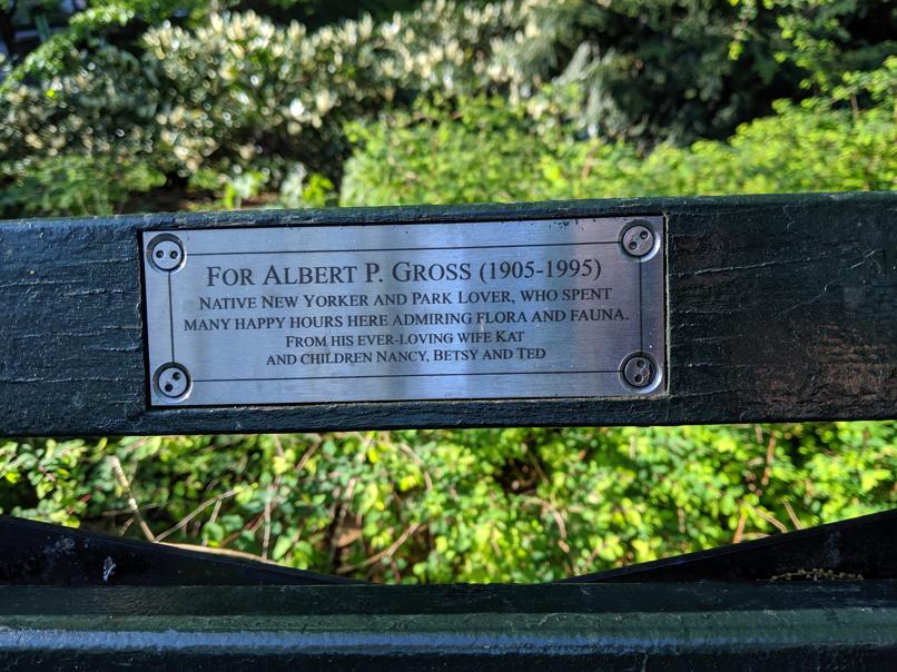 I saw this bench in Central Park