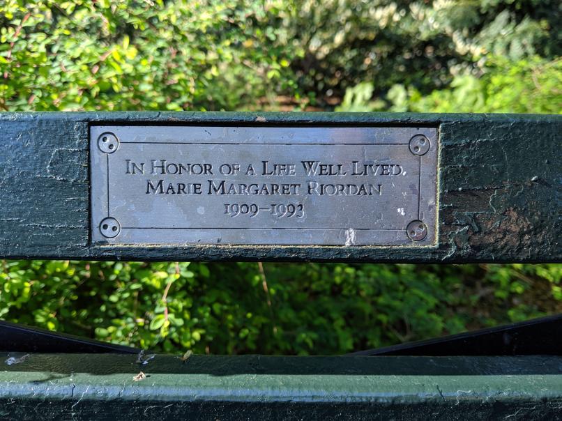 I saw this bench in Central Park