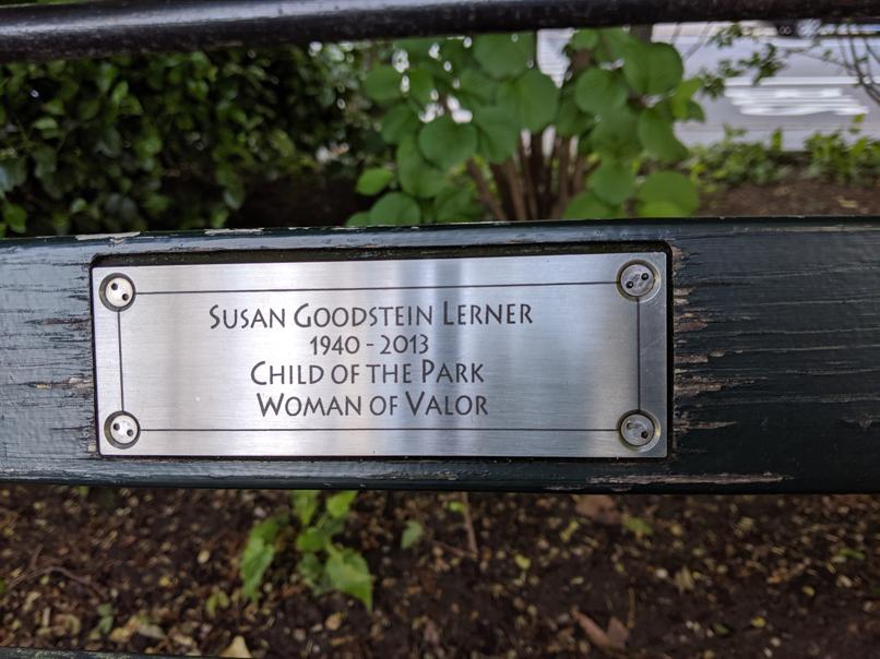 I saw this bench in Central Park