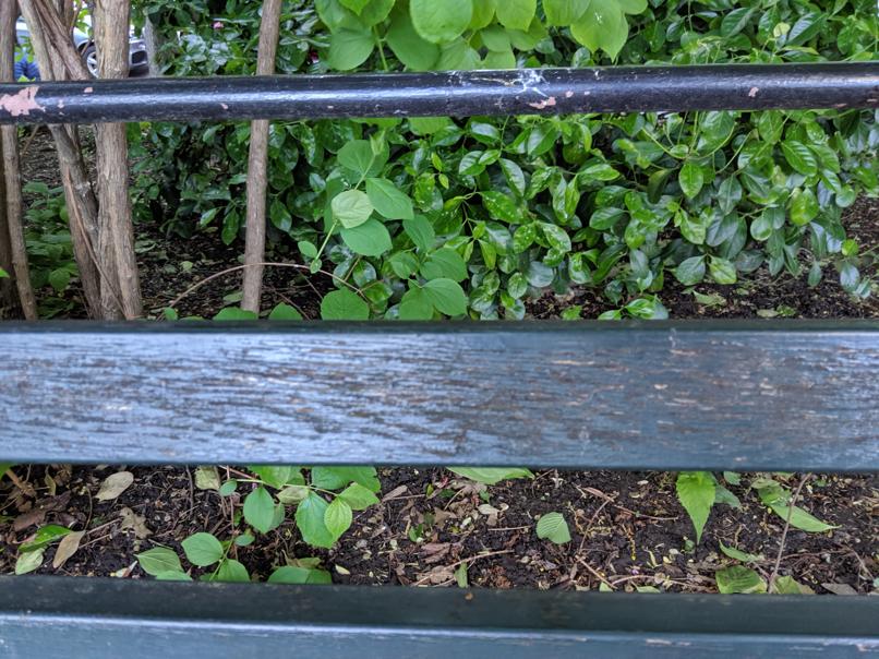 I saw this bench in Central Park