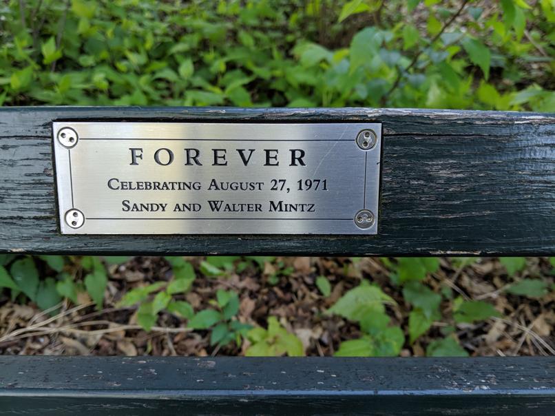 I saw this bench in Central Park