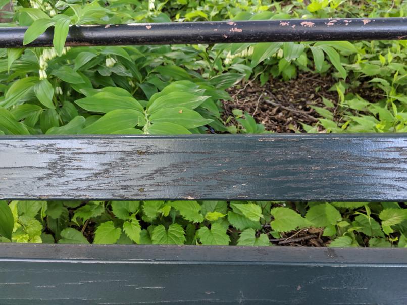 I saw this bench in Central Park