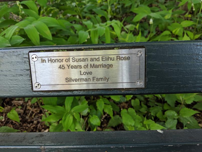 I saw this bench in Central Park