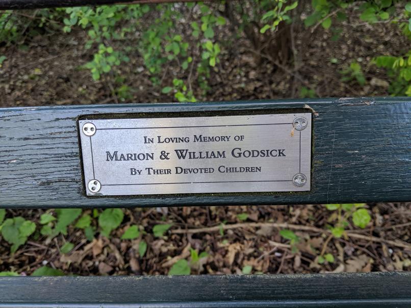 I saw this bench in Central Park