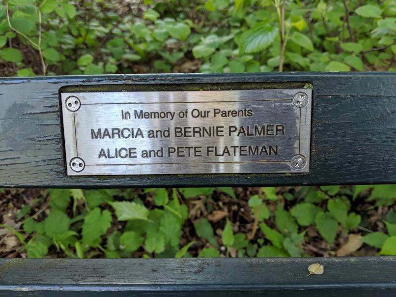 I saw this bench in Central Park