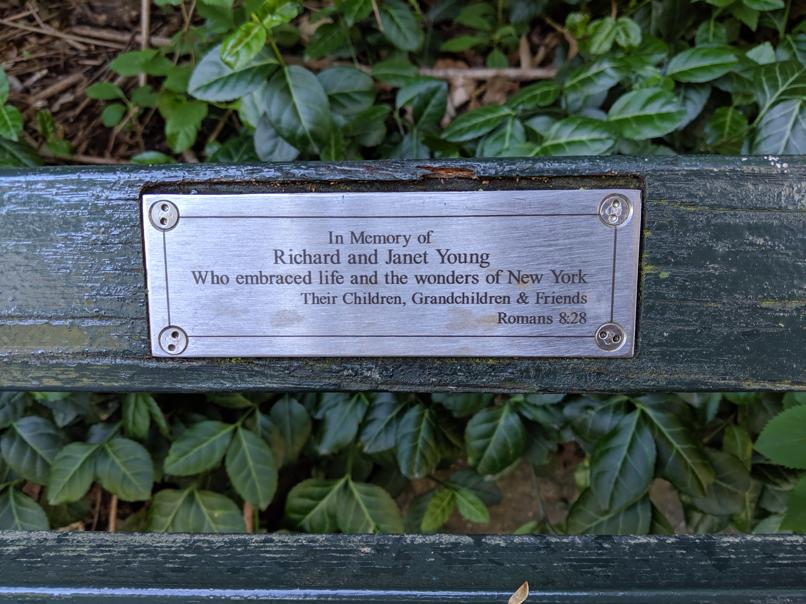 I saw this bench in Central Park