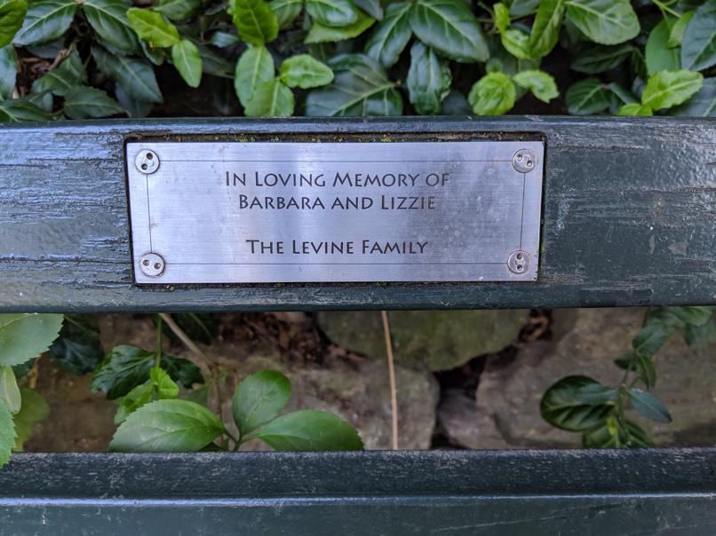 I saw this bench in Central Park