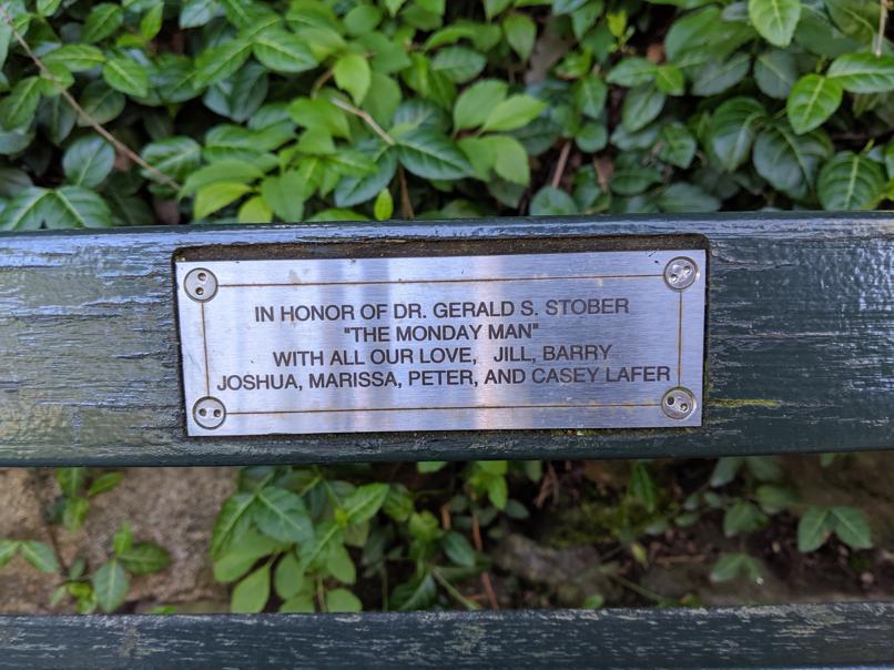 I saw this bench in Central Park