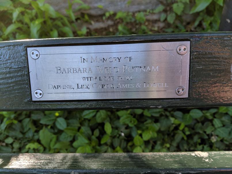 I saw this bench in Central Park