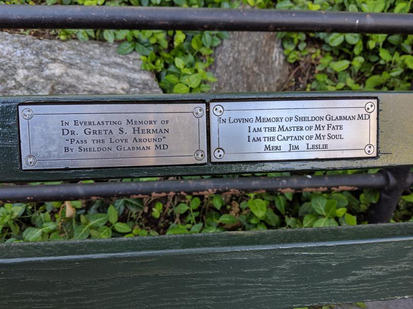 I saw this bench in Central Park