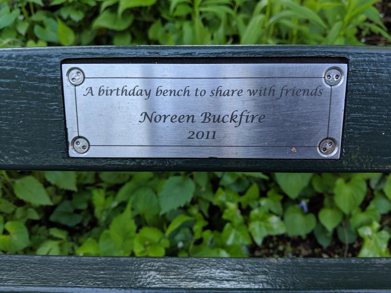 I saw this bench in Central Park