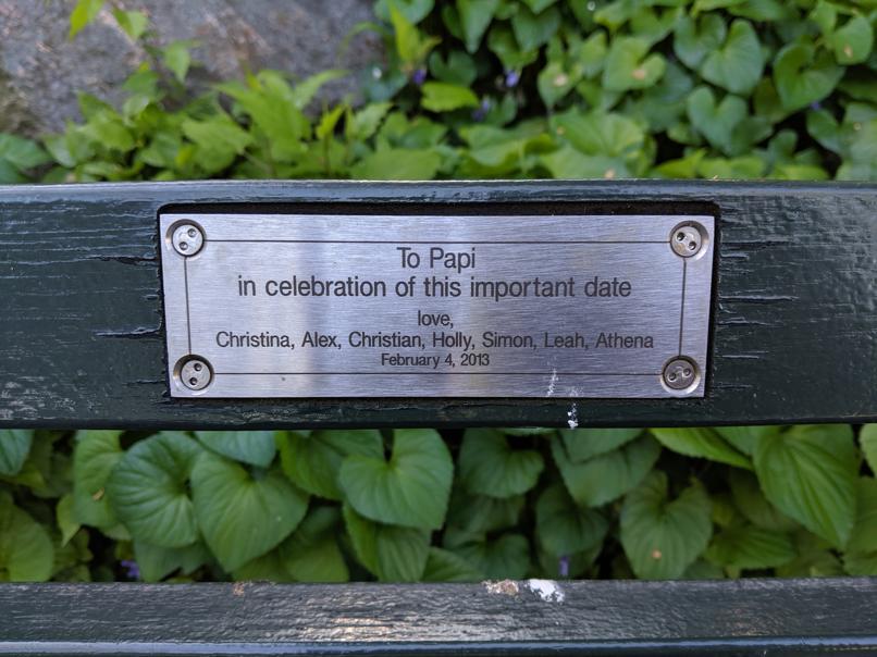 I saw this bench in Central Park