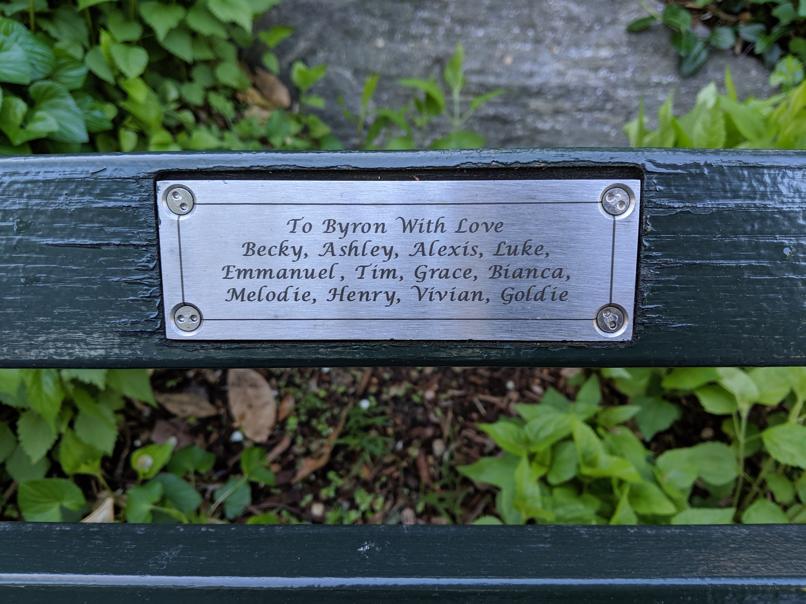 I saw this bench in Central Park