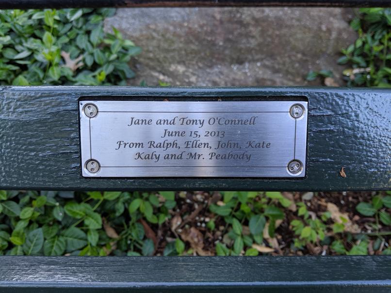 I saw this bench in Central Park