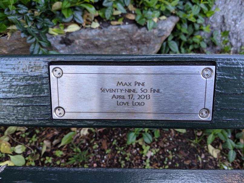 I saw this bench in Central Park