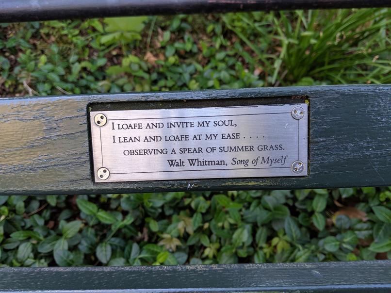 I saw this bench in Central Park