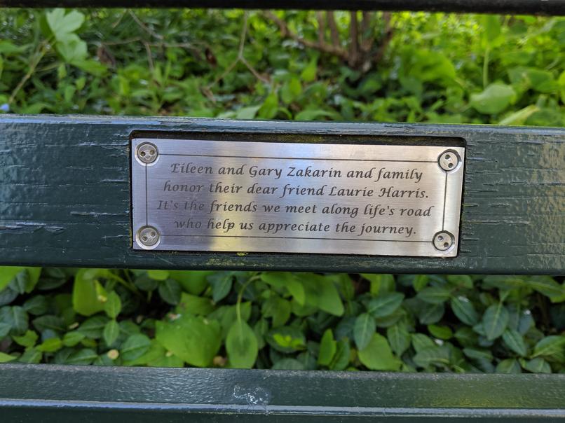 I saw this bench in Central Park