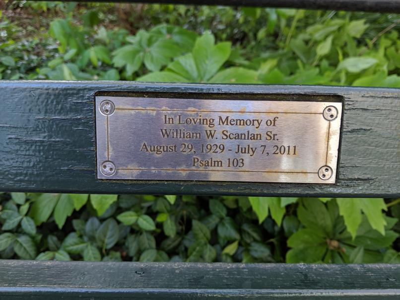 I saw this bench in Central Park