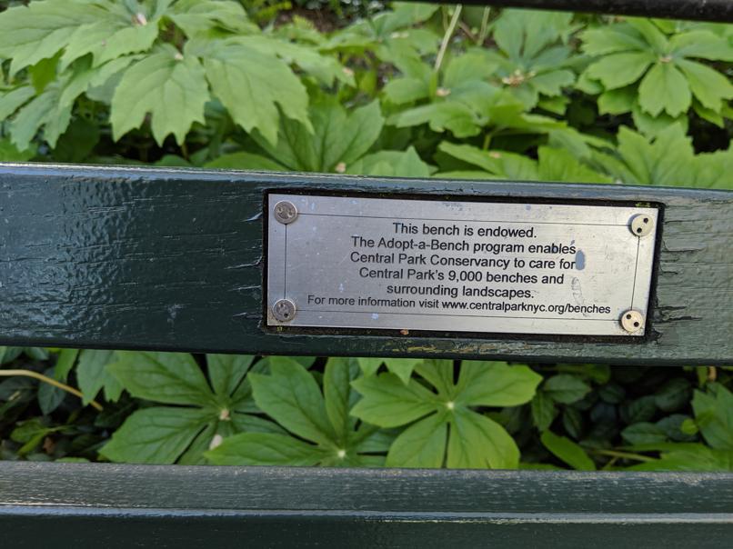 I saw this bench in Central Park