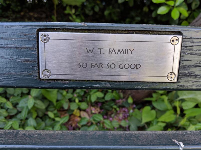 I saw this bench in Central Park