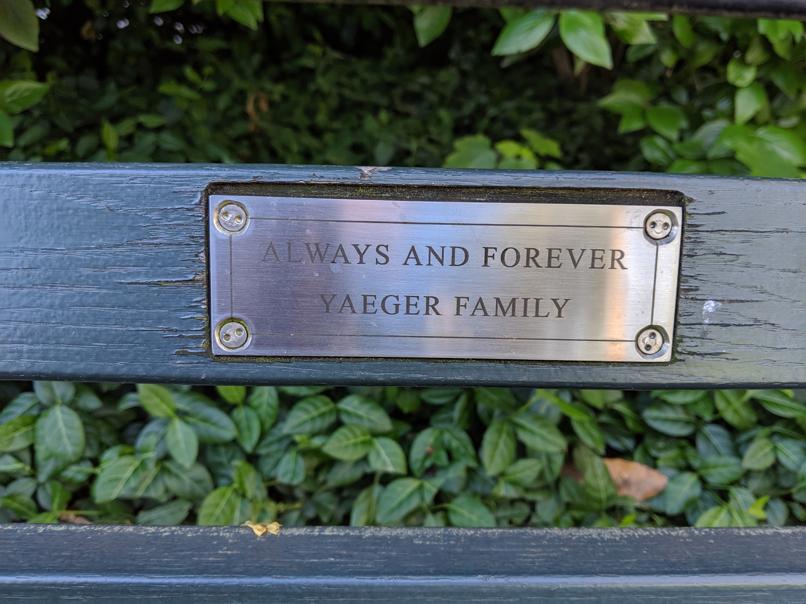 I saw this bench in Central Park