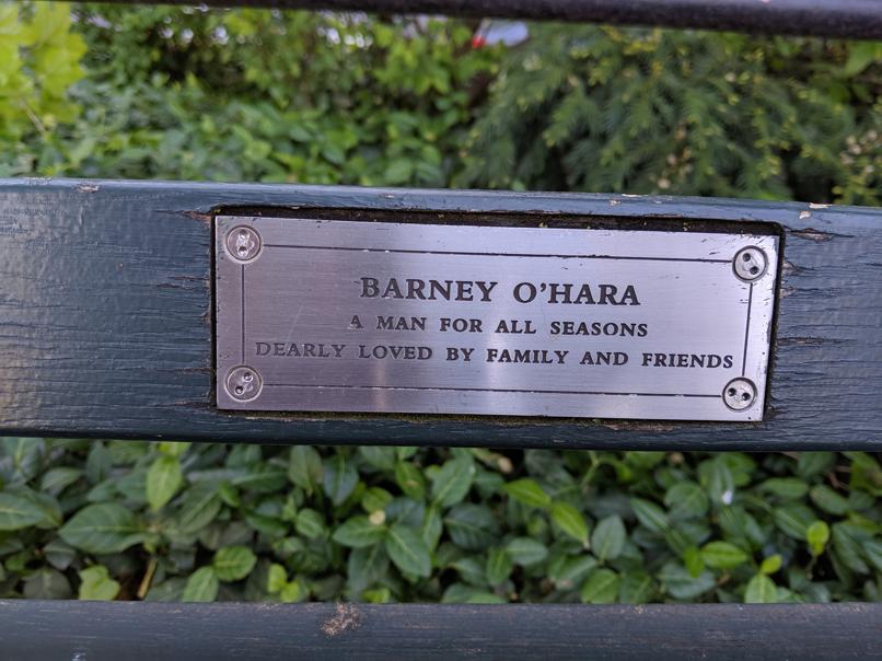 I saw this bench in Central Park