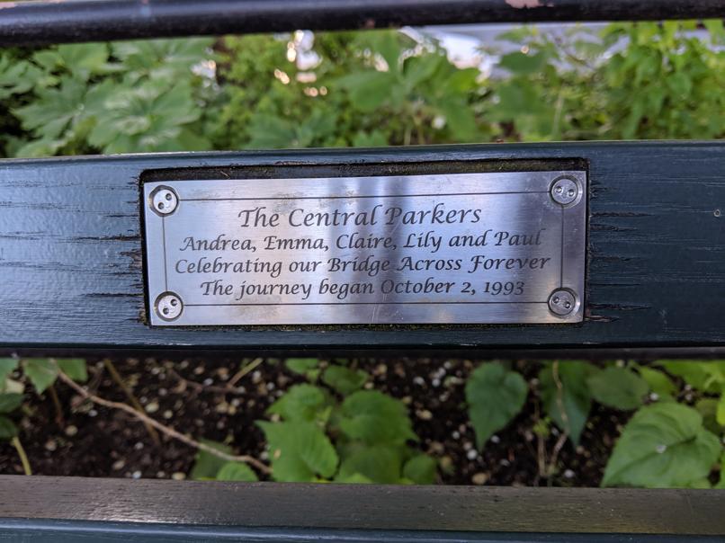 I saw this bench in Central Park